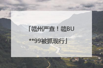 赣州严查！赣BU**99被抓现行